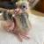 Fantail Pigeons 1 thumbnail