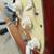 Fender Stratocaster Guitar 6 thumbnail