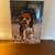 Giant Book of DOGS 1 thumbnail