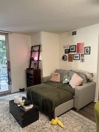 $2,290 / 1br - 600ft2 - Lease Take Over in Arlington/Court House (Arlington)64040028405635124