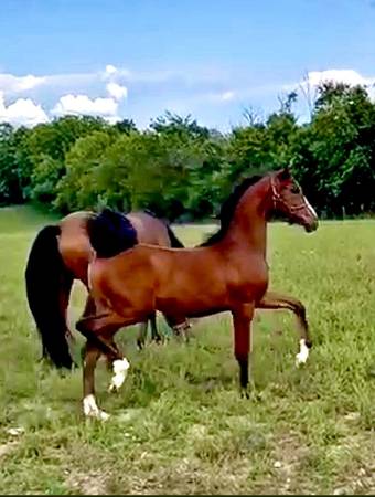 ~Weekend Help Needed~ 1