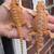Bearded dragons 2 thumbnail