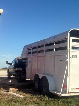 Horse trailer 1