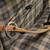 Astro Regency 44" Compound Bow, 60 lb x 28" Draw 5 thumbnail
