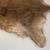 Kangaroo Hide 5 thumbnail