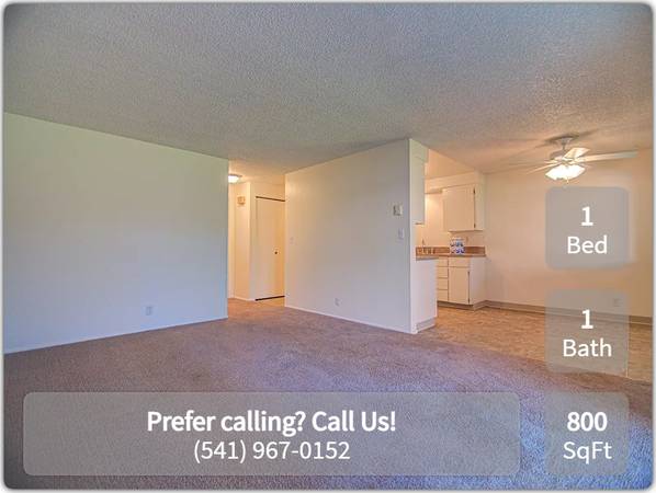 $1,375 / 1br - 800ft2 - Cook up a great meal! This apartment includes a full kitchen (Albany)63945101369987120