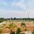 Arcadia Open Plots for Sale near Maheshwaram Town 3 thumbnail
