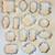 COOKIE Cutters 16 thumbnail