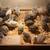 Coturnix quail 1 thumbnail