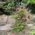 LARGE TOOL YARD SALE  MOVING SALE 8/15-8/17 9 thumbnail