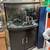 46 gallon bow front 1 thumbnail