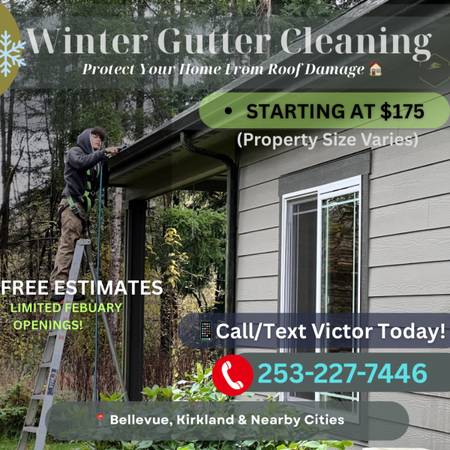 🚨Prevent Water Damage – Gutter & Roof Cleaning Done Right 1