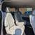 2017 Chrysler Pacifica 16 thumbnail