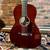 2019 Santa Cruz Custom 1929/00 12-Fret with K&K 1 thumbnail