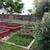 Full Room in a Charming House in Denver w/ Large Yard & Parking 11 thumbnail