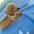 Salchicha 1 thumbnail