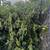 Nick’s Landscaping(empty lot and alley clean up) 22 thumbnail