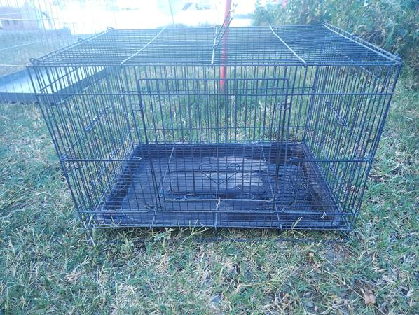 Birdcage 1