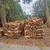 Oak firewood 1 thumbnail