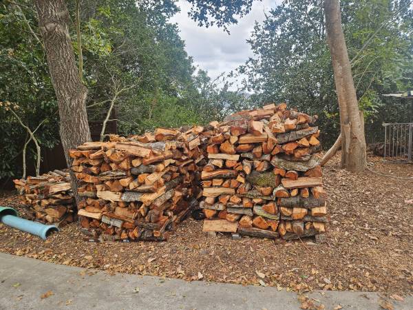 Oak firewood 1