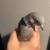 Rare F2 Triple Hybrid Female European-Turtle, ECD & Ringneck Dove 3 thumbnail