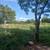 LAND FOR SALE 9 thumbnail