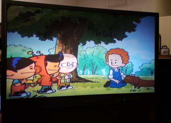 48" Mitsubish Projection High Definition 1080 HDTV 1