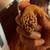 Leopard Gecko with habitat $100 obo 16 thumbnail