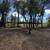 Land Clearing/Forestry Mulching🌳FREE QUOTES 5 thumbnail