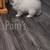 10wk old Pomeranian Puppy 2 thumbnail