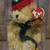 (2) Vintage Retired Attic Treasures Beanie Baby "Spruce.” 1 thumbnail