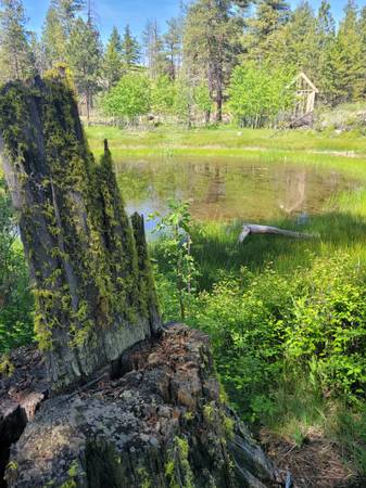 $90,000 Hunting property off grid remote 40acres (Tonasket)63894454153346124
