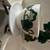 Beautiful dinner ware set. 2 thumbnail