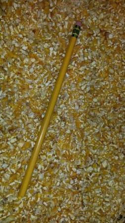 Feed Corn - Ground 1