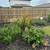 Immaculate 3/2 with privacy fenced landscaped front and back for lease 16 thumbnail