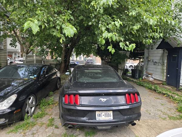 2015 mustang eco boost premium - $12,000 (Queens)63614136905219124