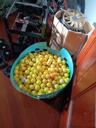 Roughly 500 Golfballs 1