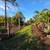 Landscape-Irrigation-Sod-Landscape lighting 5 thumbnail