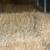 Straw sq bales 1 thumbnail