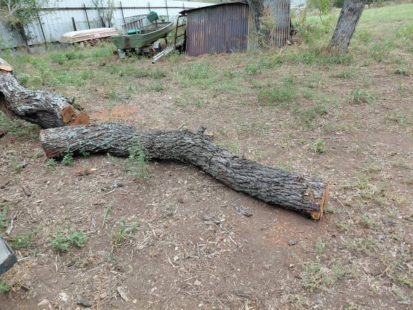 Mesquite Logs 1