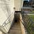 Large luxury basement apartment with free wifi 16 thumbnail