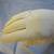 Vintage Crescendoe Nylon Gloves (Never worn) 4 thumbnail