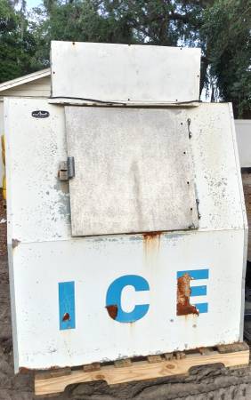 Ice Bag - Freezer Display Merchandiser Bin 1