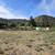 Remarkable 5 acre lot with panoramic mountain views 4 thumbnail