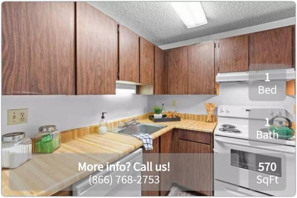 Where every detail counts: Dive into our 1 BR, 570 Sq Ft. 1