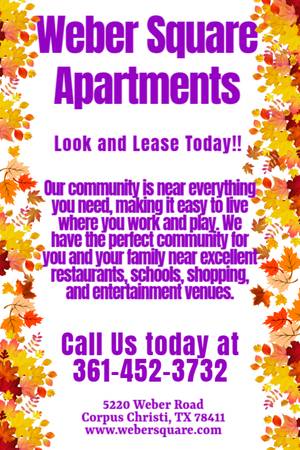 $800 / 1br - 490ft2 - Living where you love means loving your life at Weber Square Apartment (Corpus Christi)64036541006723120