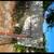 Atlantic Beach LOT 6 thumbnail