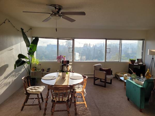 $1,569 / 1br - 871ft2 - 1 Bedroom 1 Bathroom Apartment close to University to rent (Eugene)63977277853315121
