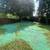 SOD / HYDROSEEDING / IRRIGATION + MORE! 6 thumbnail
