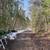 80 Acre Parcel with Extensive Network of Trails! 14 thumbnail